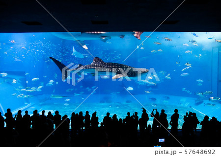 背景 バックグラウンド バックグランド 57648692
