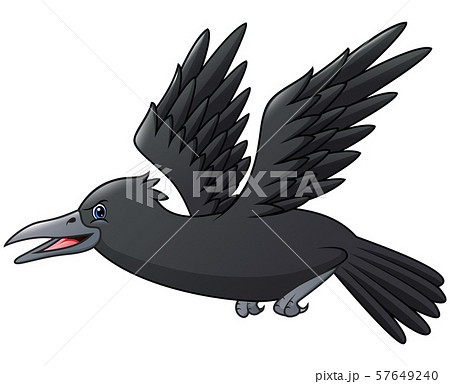 Cartoon crow isolated on white background 57649240