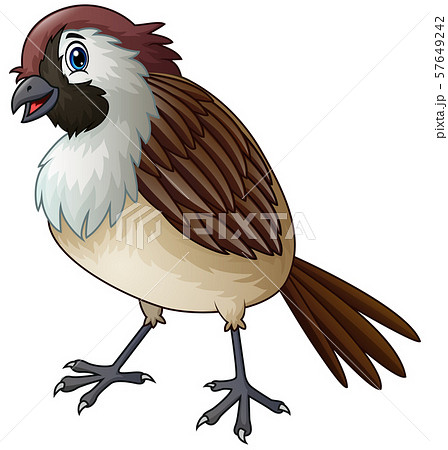 Funny a sparrow bird cartoon 57649242