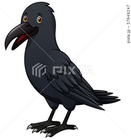 Cartoon Crow Isolated On White Backgroundのイラスト素材