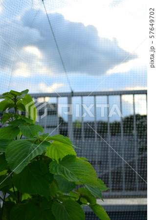 雨の予感 57649702