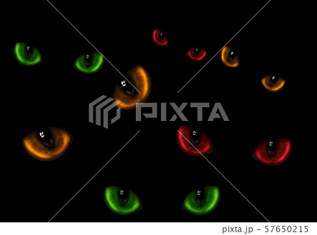 A lot of dangerous cat eyes A lot of dangerous cat eyes 57650215