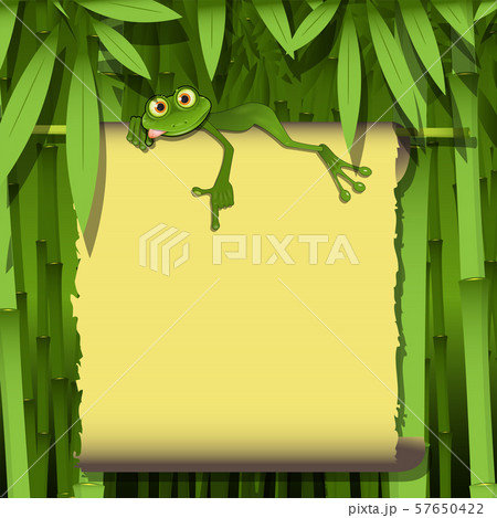 Illustration Green Frog and Yellow Background 57650422