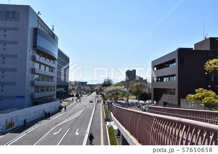 茅ヶ崎市役所 茅ヶ崎市役所 57650658