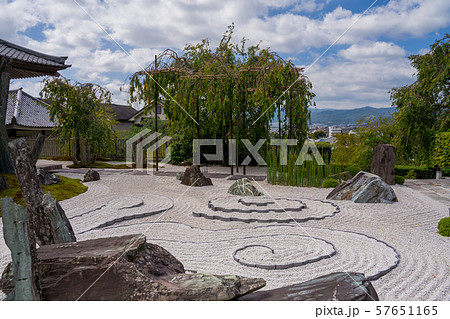 苔寺　圓光寺　枯山水庭園 57651165