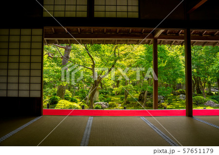 苔寺 圓光寺 苔寺 圓光寺 57651179