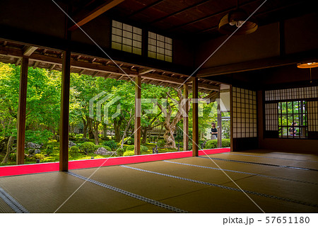 苔寺 圓光寺 苔寺 圓光寺 57651180
