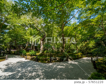 苔寺 圓光寺 苔寺 圓光寺 57651220