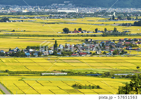 黄金色の田園地帯と只見線の列車　福島会津美里 57651563