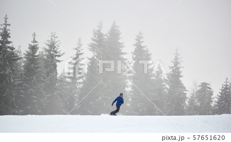 Man sportsman snowboarding on flat snow-covered road in coniferous forest in heavy snowfall Man sportsman snowboarding on flat snow-covered road in coniferous forest in heavy snowfall 57651620