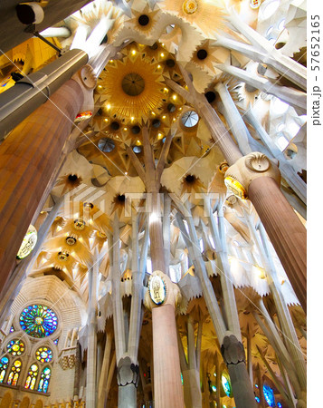 サグラダ・ファミリア サグラダ・ファミリア 57652165