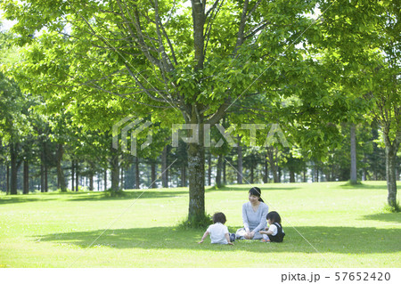 公園で遊ぶ家族 公園で遊ぶ家族 57652420