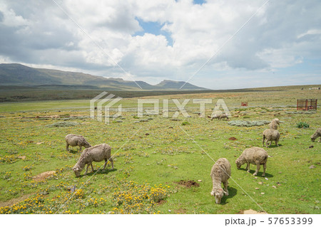 サニパスの風景 57653399