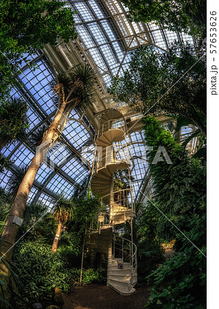 palmenhaus schonbrunn staircase palmenhaus schonbrunn staircase 57653626