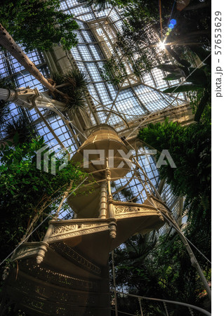 palmenhaus schonbrunn staircase palmenhaus schonbrunn staircase 57653629