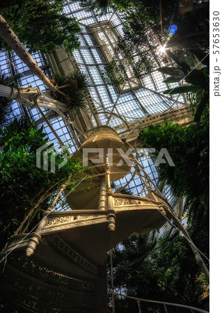 palmenhaus schonbrunn staircase palmenhaus schonbrunn staircase 57653630