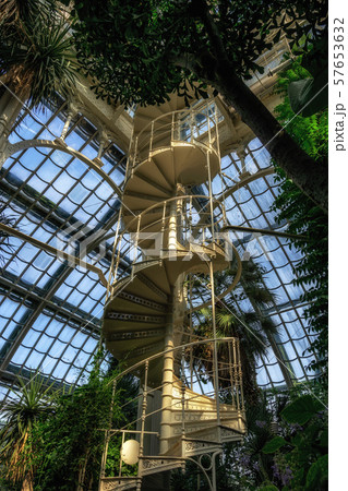 palmenhaus schonbrunn staircase palmenhaus schonbrunn staircase 57653632