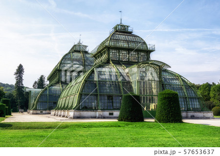 palmenhaus schonbrunn palace garden palmenhaus schonbrunn palace garden 57653637