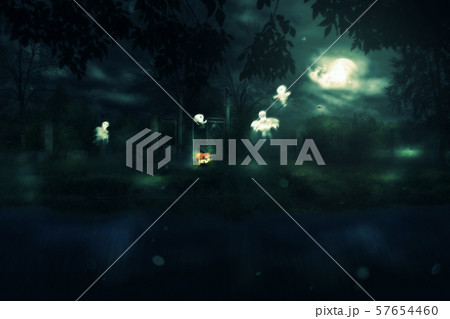 Halloween Night Gate 57654460