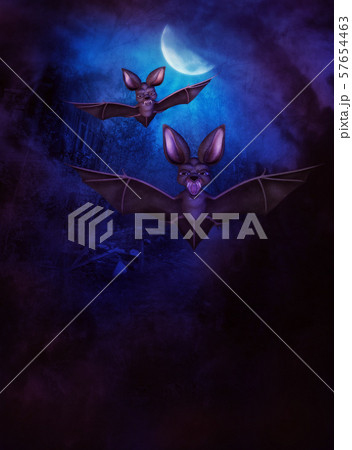 Halloween Bats 57654463