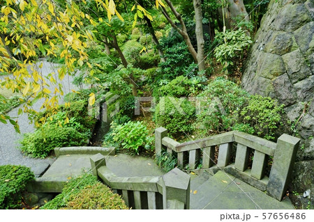 秋の庭園 57656486