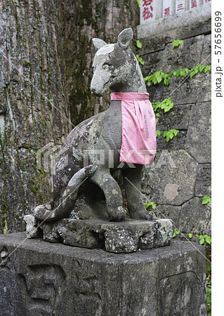 三峯神社 拝殿 狛狼の写真素材 [57656699] - PIXTA