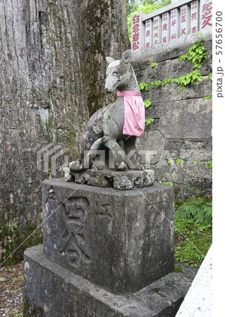 三峯神社　拝殿　狛狼 57656700