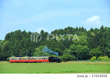 小湊鐡道 川間のトロッコ列車 小湊鐡道 川間のトロッコ列車 57656998