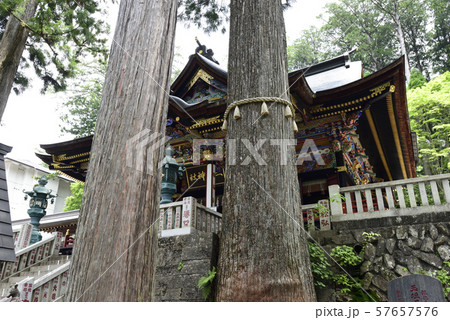 三峯神社 拝殿 御神木(重忠杉) 三峯神社 拝殿 御神木(重忠杉) 57657576