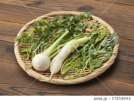 春の七草 春の七草 57658043