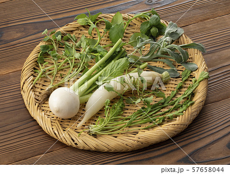 春の七草 57658044