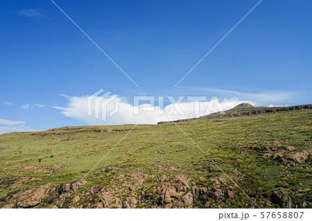 サニパスの風景 57658807