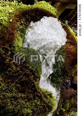 羊蹄山の伏流水 57659086