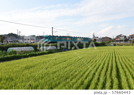 和歌山線　105系　畠田 57660443