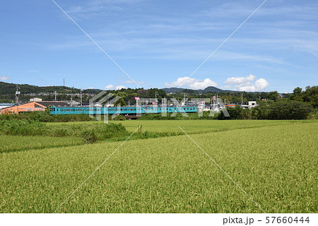 和歌山線　105系　志都美 57660444