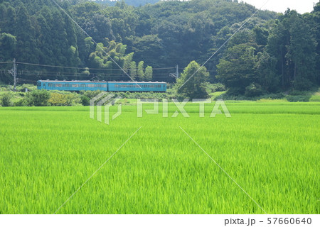 和歌山線　105系　玉手 57660640