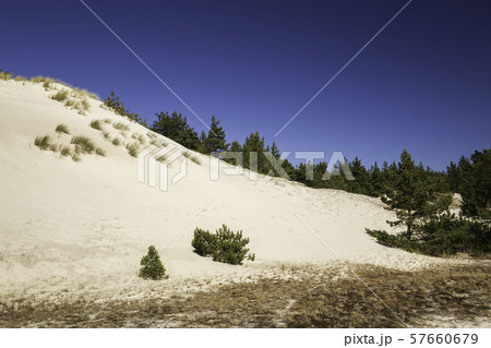 Sand dunes Leba Sand dunes Leba 57660679