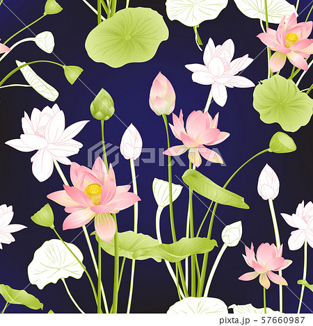 Lotus flowers seamless pattern. 57660987