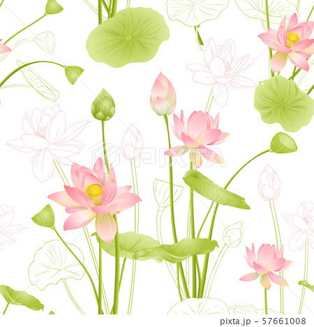 Lotus flowers seamless pattern. Lotus flowers seamless pattern. 57661008