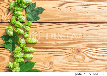 green hop cones and leaves on a wooden table green hop cones and leaves on a wooden table 57661635