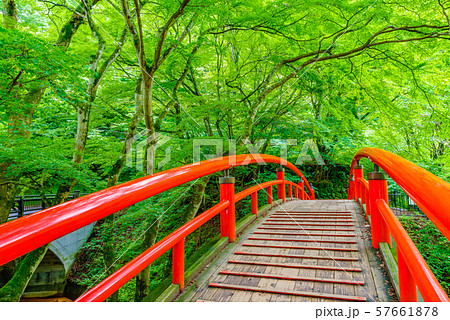 伊香保温泉・河鹿橋【群馬県】 57661878