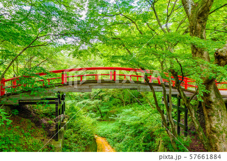 伊香保温泉・河鹿橋【群馬県】 57661884