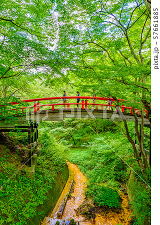 伊香保温泉・河鹿橋【群馬県】 57661885