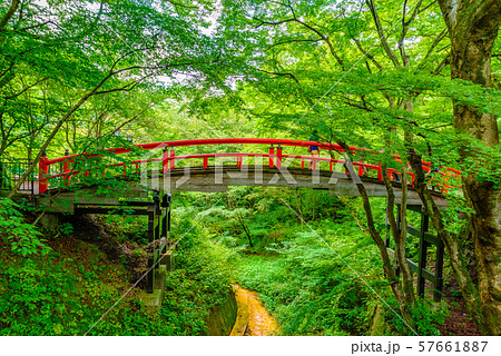 伊香保温泉・河鹿橋【群馬県】 57661887
