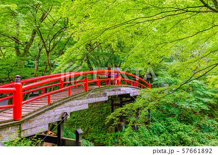 伊香保温泉・河鹿橋【群馬県】 伊香保温泉・河鹿橋【群馬県】 57661892