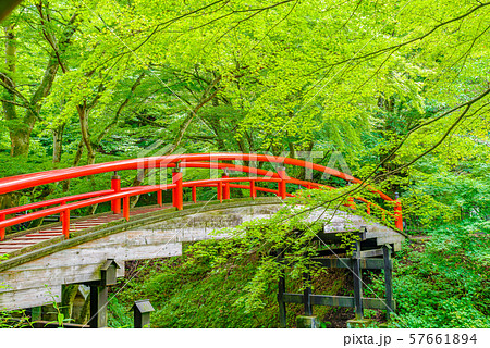 伊香保温泉・河鹿橋【群馬県】 57661894