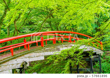 伊香保温泉・河鹿橋【群馬県】 57661896