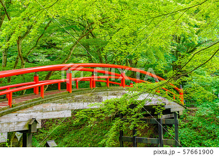 伊香保温泉・河鹿橋【群馬県】 57661900