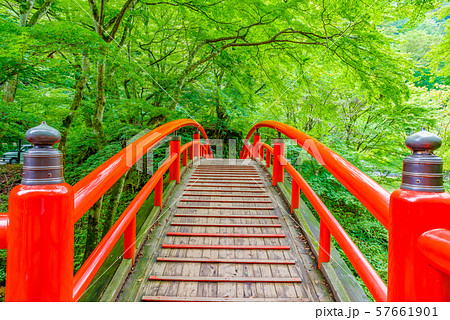 伊香保温泉・河鹿橋【群馬県】 伊香保温泉・河鹿橋【群馬県】 57661901