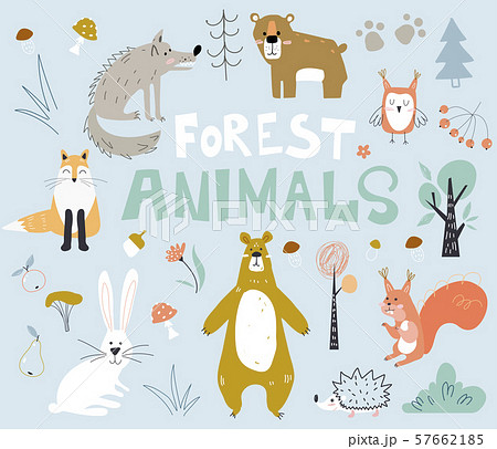 Woodland forest animals cute bear, fox, hedgehogs in the wood. Creative kids scandinavian style. Woodland forest animals cute bear, fox, hedgehogs in the wood. Creative kids scandinavian style. 57662185